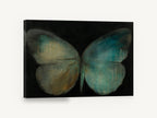Teal Dusk Butterfly, teal and ochre butterfly painting, animal canvas wall art print ready to hang
