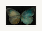 Teal Dusk Butterfly, teal and ochre butterfly painting, animal canvas wall art print, front view
