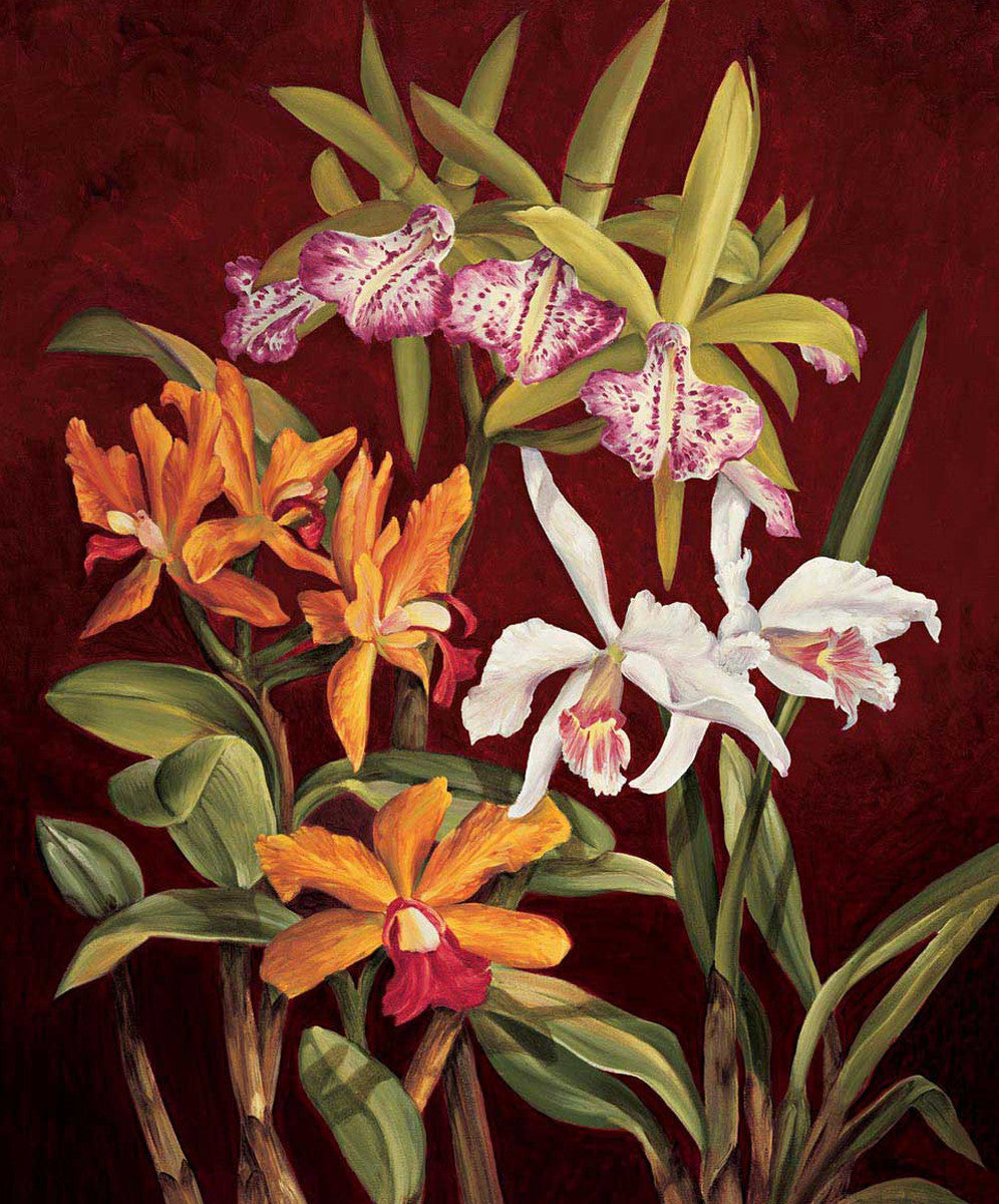 Orchid Trio II Wall Art Print