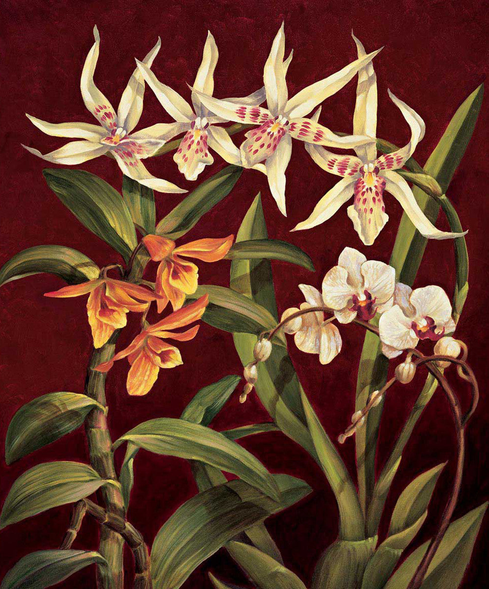 Orchid Trio I Wall Art Print