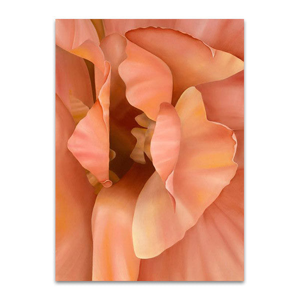 Orchid Wall Art Print