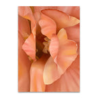 Orchid Wall Art Print