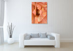Orchid Wall Art Print on the wall