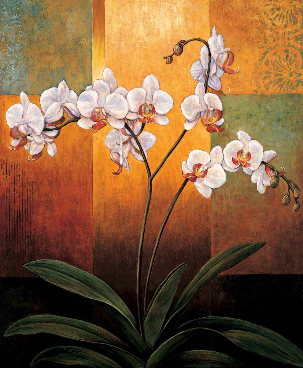 Orchids Wall Art Print