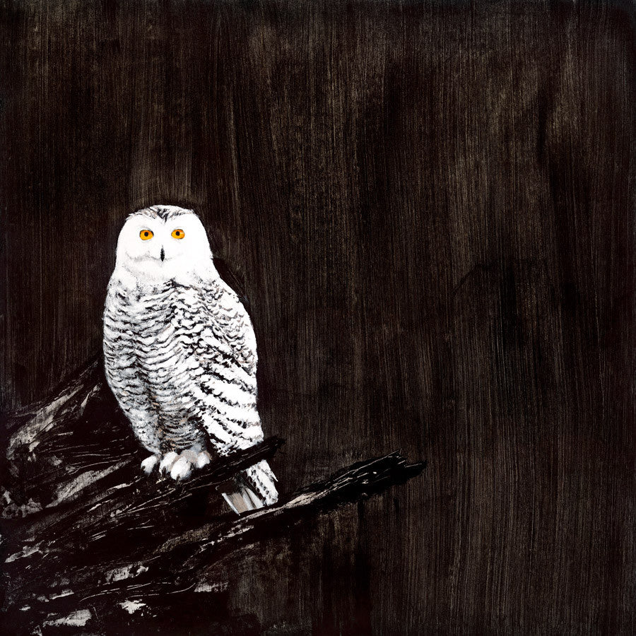 Owl Wall Art Print