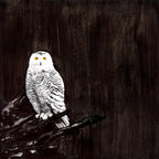 Owl Wall Art Print