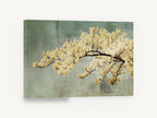 Cream Blossom Bough, cream blossom branch textured sage, floral canvas wall art print ready to hang