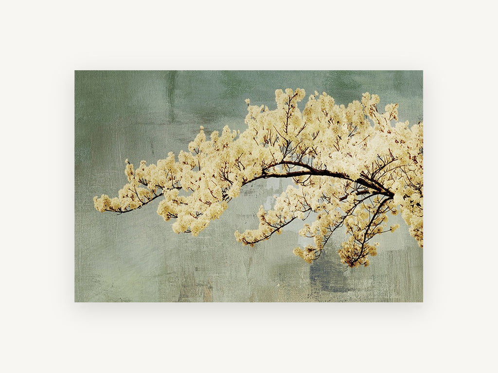 Cream Blossom Bough, floral canvas wall art print, front view