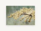 Cream Blossom Bough, floral canvas wall art print, front view