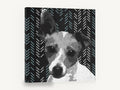 Herringbone Terrier, jack russell terrier graphic portrait, animal canvas wall art print ready to hang