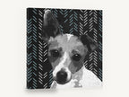 Herringbone Terrier, jack russell terrier graphic portrait, animal canvas wall art print ready to hang