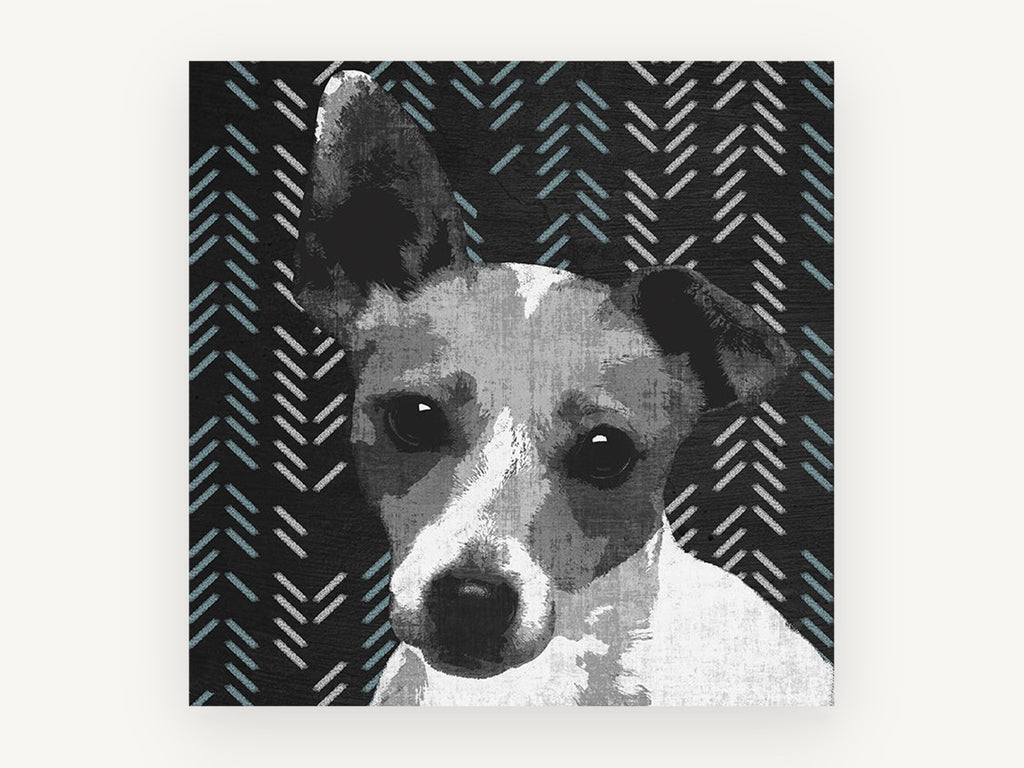 Herringbone Terrier, jack russell terrier graphic portrait, animal canvas wall art print, front view