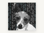 Herringbone Terrier, jack russell terrier graphic portrait, animal canvas wall art print, front view