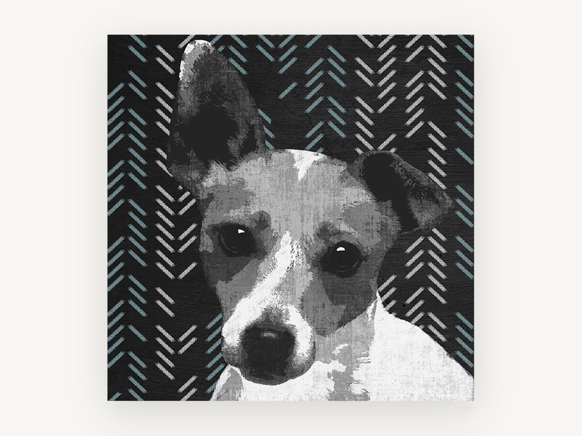 Herringbone Terrier, jack russell terrier graphic portrait, animal canvas wall art print, front view