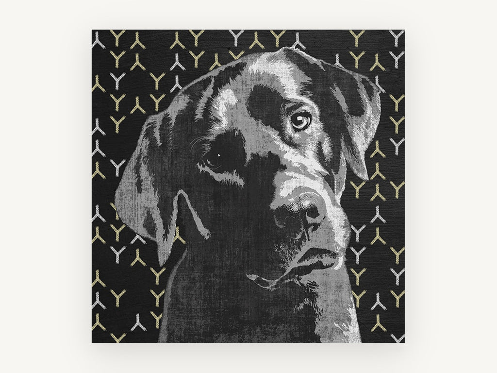 Pensive Black Lab, black labrador graphic portrait, animal canvas wall art print, front view