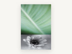 Leaf Vein and Daisy, floral canvas wall art print, front view
