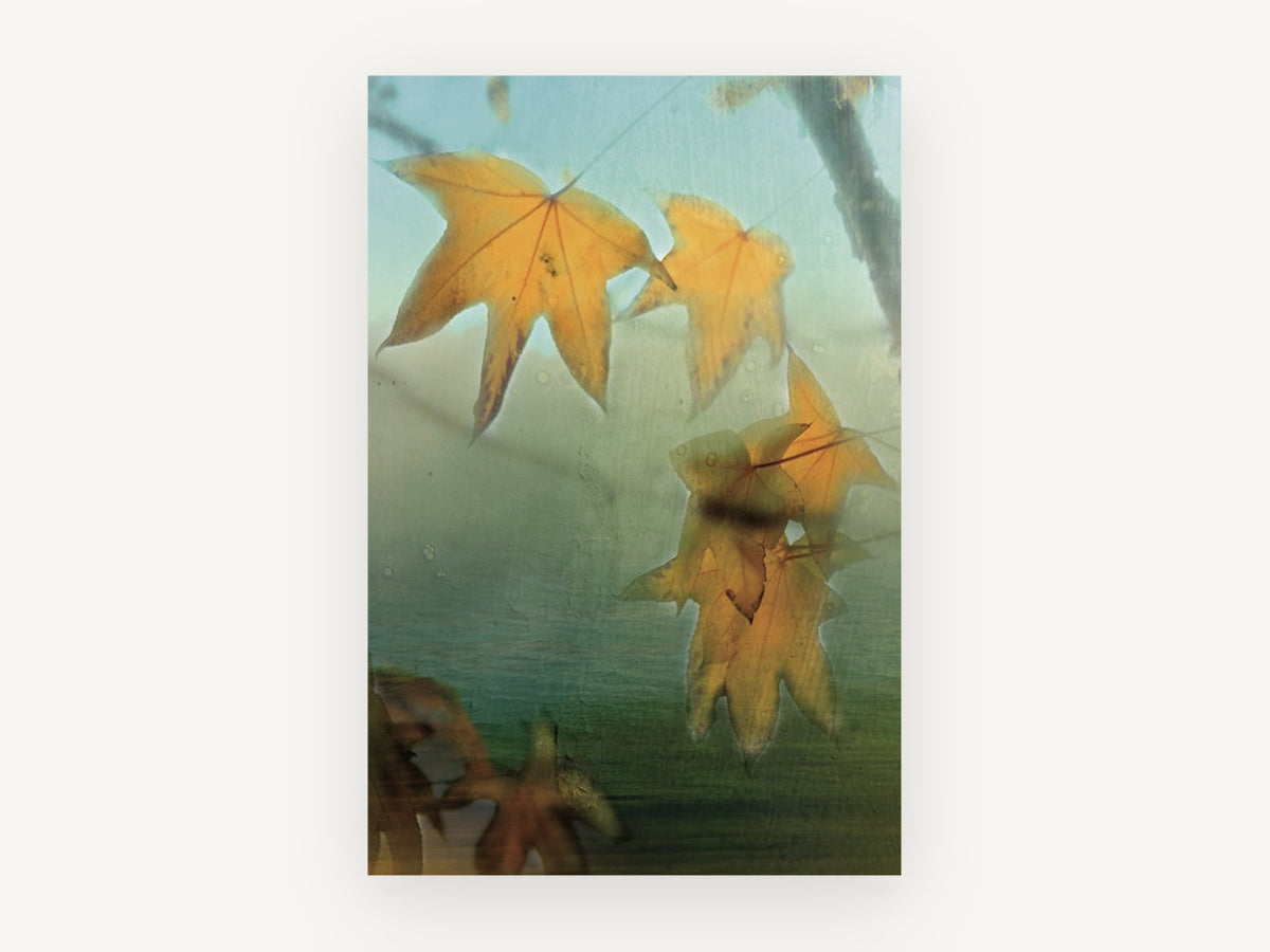 Amber Maple Haze, floral canvas wall art print, front view