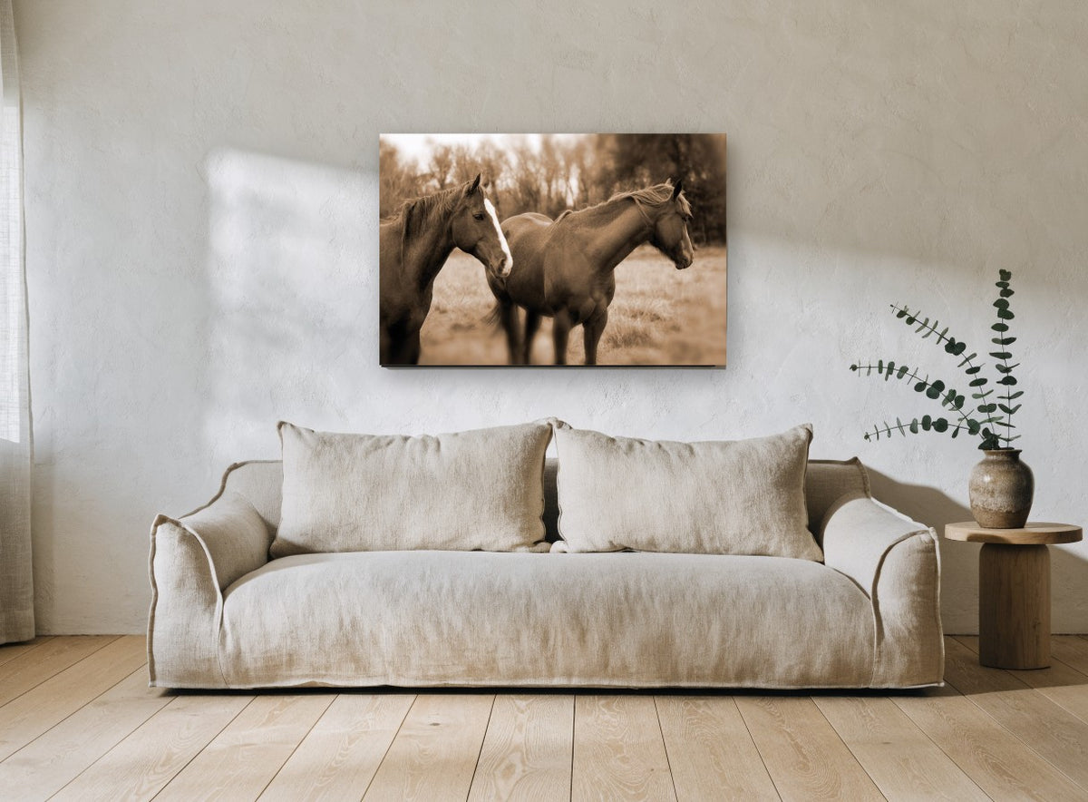 Paddock Companions animal canvas print on the wall of a living room