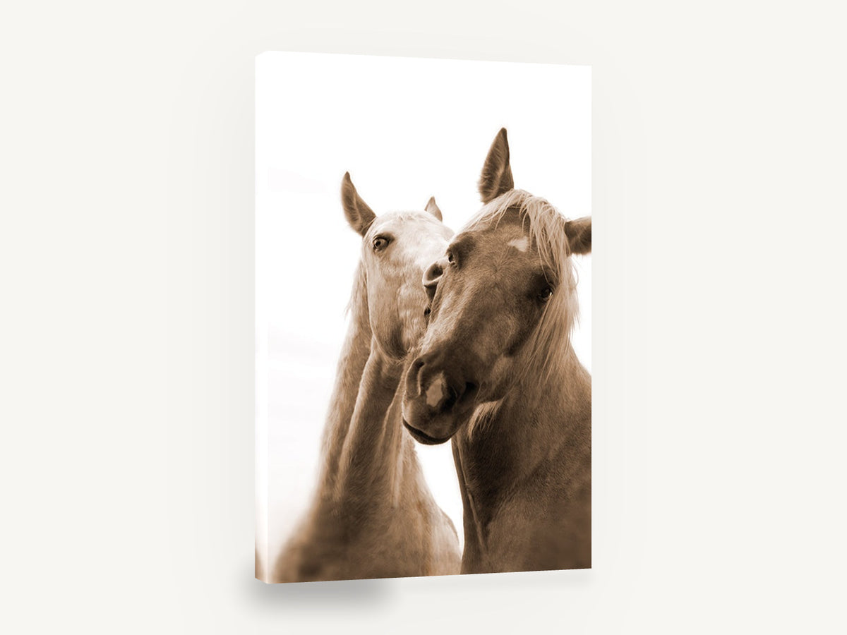 Sepia Horse Companions, sepia horse pair photograph, animal canvas wall art print ready to hang