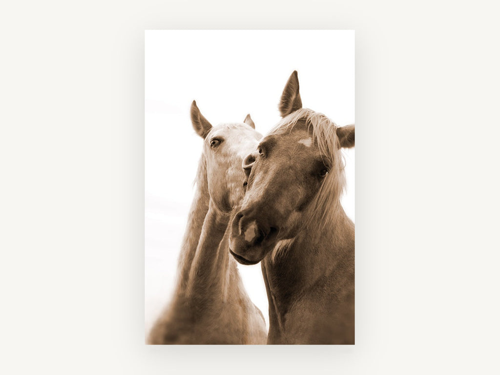 Sepia Horse Companions, sepia horse pair photograph, animal canvas wall art print, front view