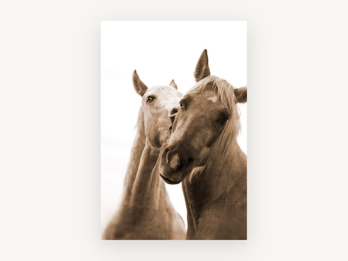Sepia Horse Companions, sepia horse pair photograph, animal canvas wall art print, front view