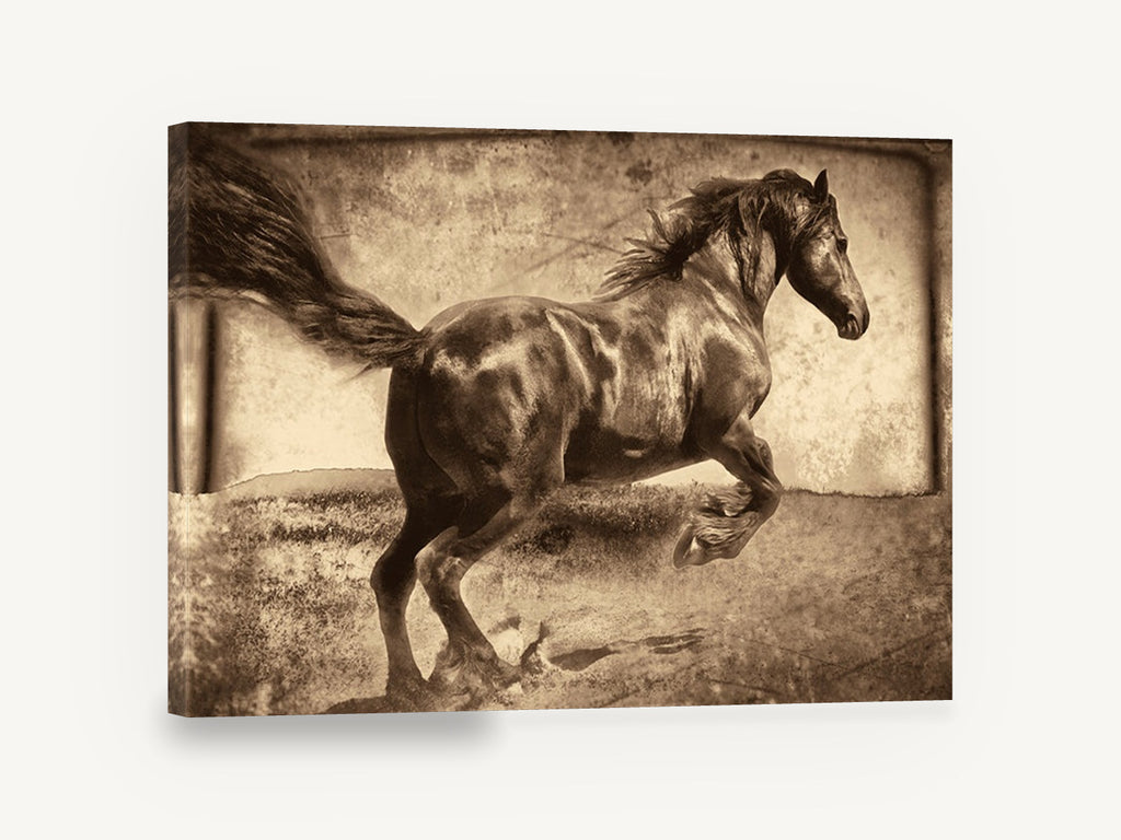 Galloping Dark Stallion, vintage sepia galloping horse photograph, stretched canvas wall art print ready to hang