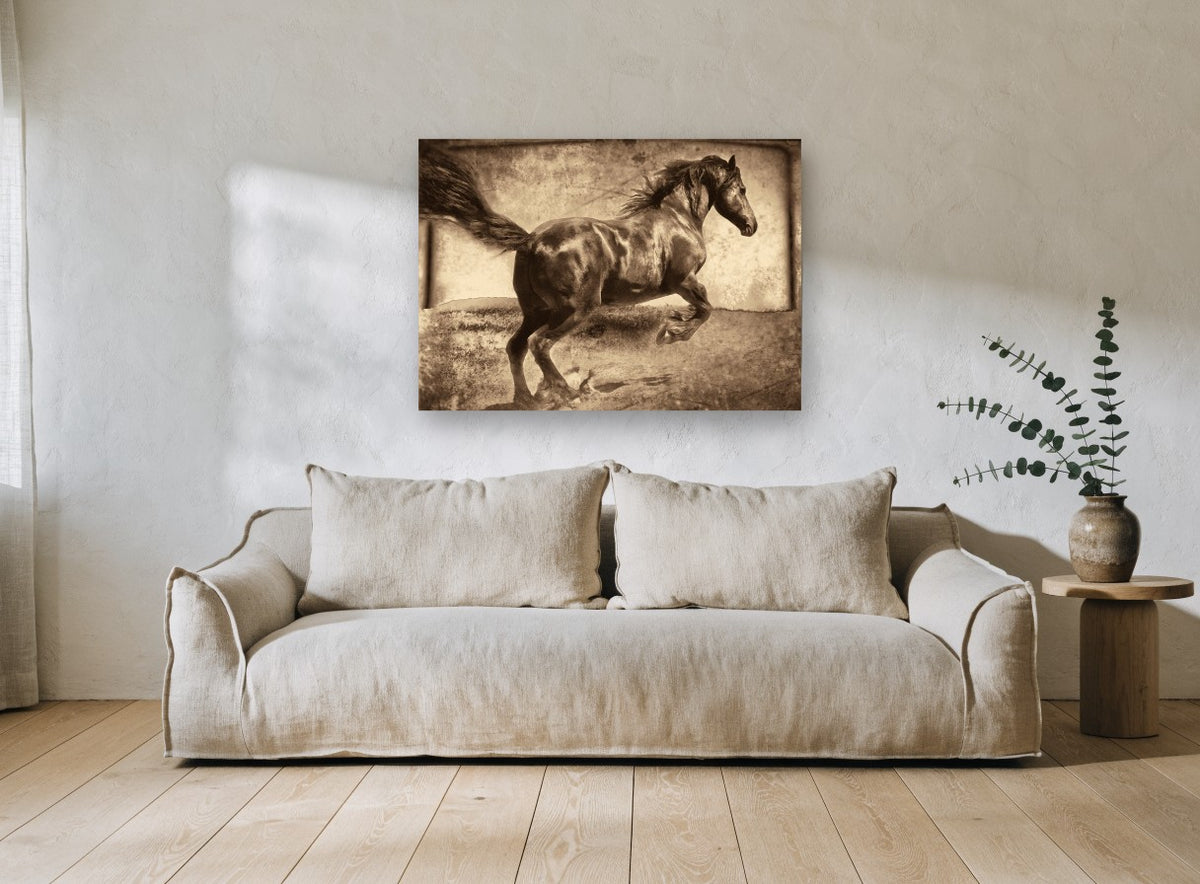Galloping Dark Stallion vintage canvas print on the wall of a living room