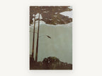 Pine Canopy Mist, floral canvas wall art print, front view