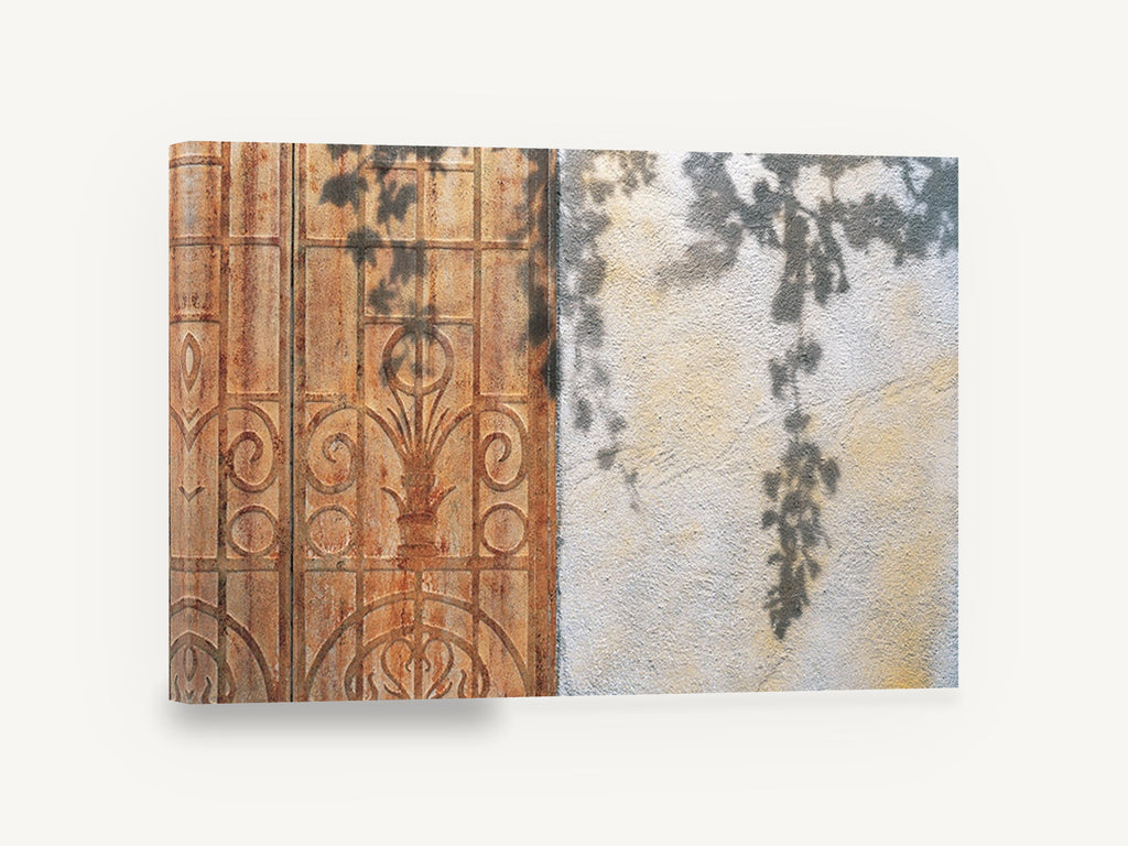 Vine Shadows on Rust, rusty door vine shadow photograph, floral canvas wall art print ready to hang