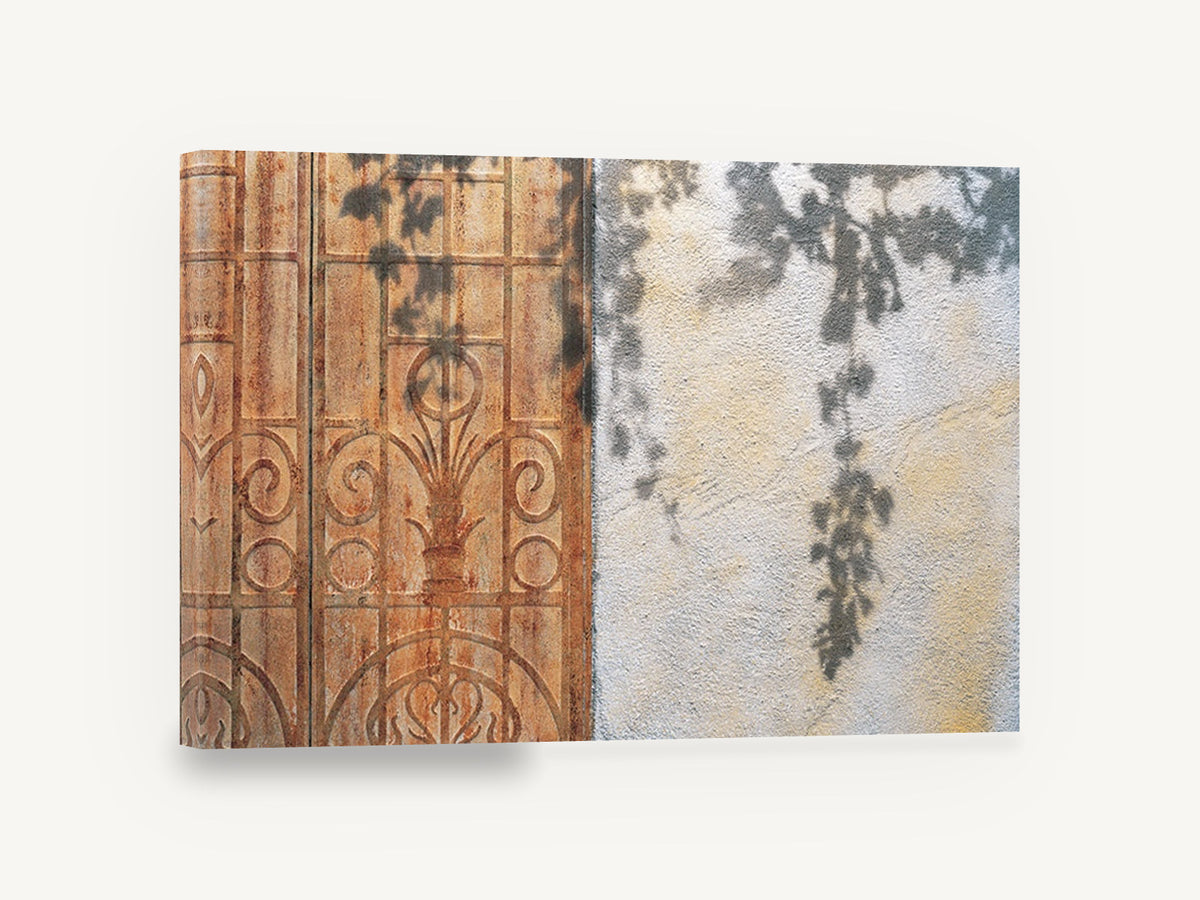 Vine Shadows on Rust, rusty door vine shadow photograph, floral canvas wall art print ready to hang