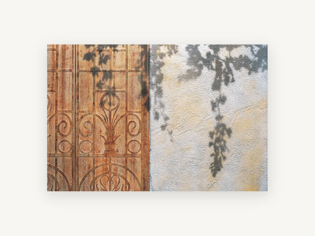 Vine Shadows on Rust, floral canvas wall art print, front view