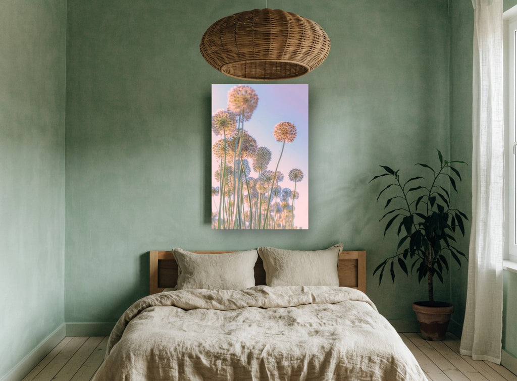 Allium Sky Daydream floral canvas print on the wall of a bedroom