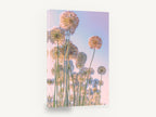Allium Sky Daydream, allium seed heads pastel sky photograph, floral canvas wall art print ready to hang
