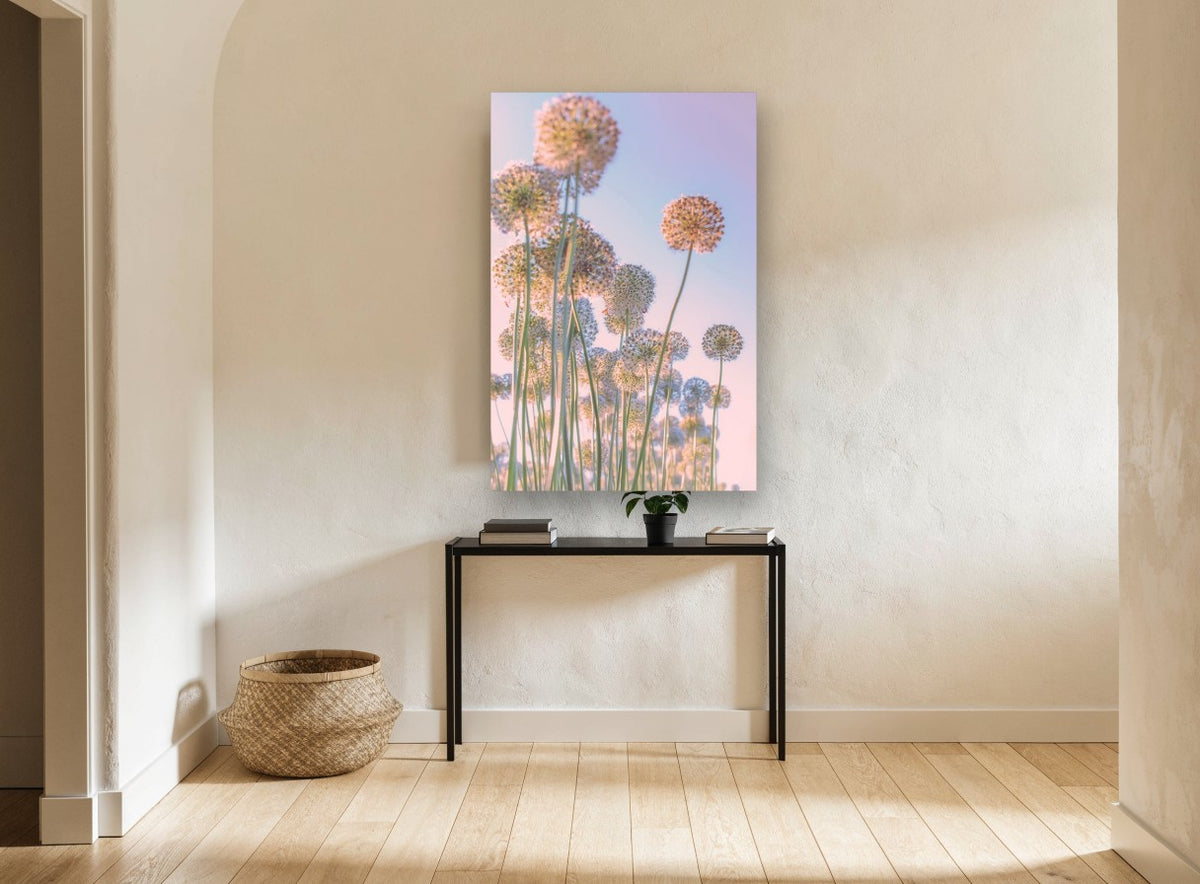 Allium Sky Daydream floral canvas print on the wall of a hallway