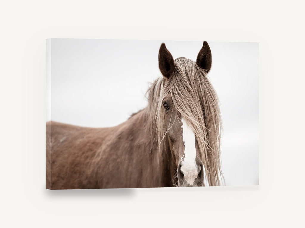 Veiled Chestnut Mare, brown horse portrait photograph, animal canvas wall art print ready to hang