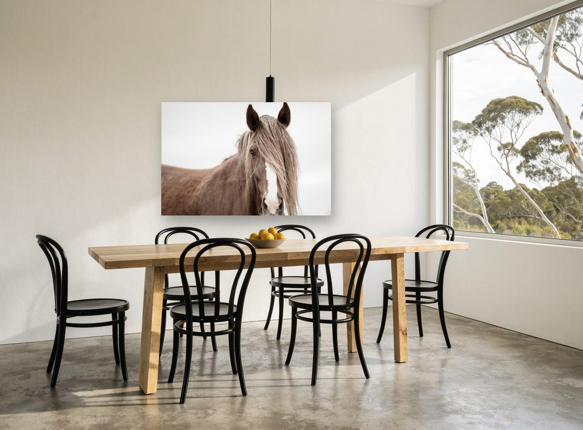 Veiled Chestnut Mare animal canvas print on the wall of a dining room