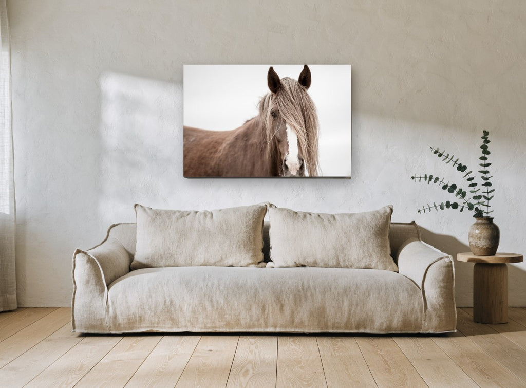 Veiled Chestnut Mare animal canvas print on the wall of a living room