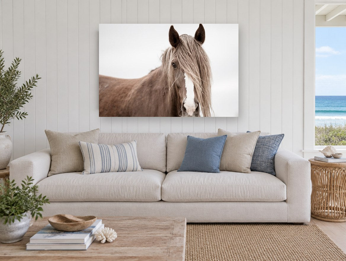 Veiled Chestnut Mare animal canvas print on the wall of a beach house living room