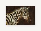 Zebra in Dark Amber, zebra portrait textured illustration, animal canvas wall art print, front view