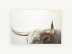 Longhorn Gaze, longhorn bull portrait painting, animal canvas wall art print, front view