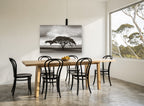 Acacia Under Storm floral canvas print on the wall of a dining room