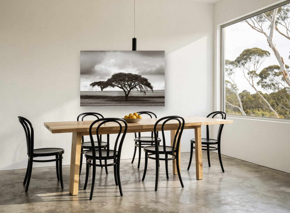 Acacia Under Storm floral canvas print on the wall of a dining room