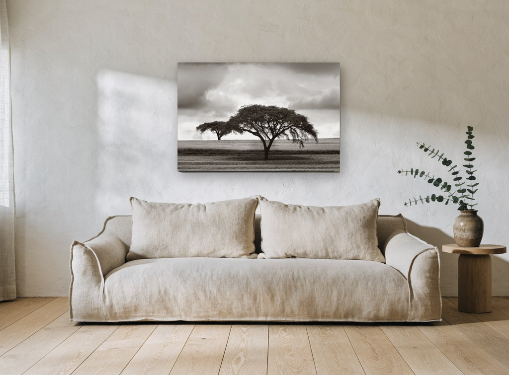 Acacia Under Storm floral canvas print on the wall of a living room