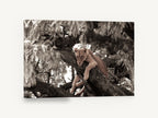 Lioness in the Branches, lioness resting in tree sepia photograph, floral canvas wall art print ready to hang
