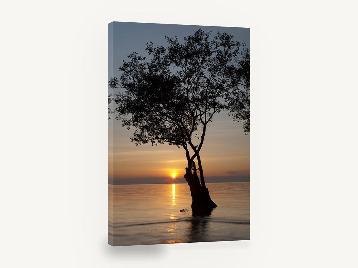 Tree at Dusk Tide, sunset tree silhouette water photograph, landscape canvas wall art print ready to hang