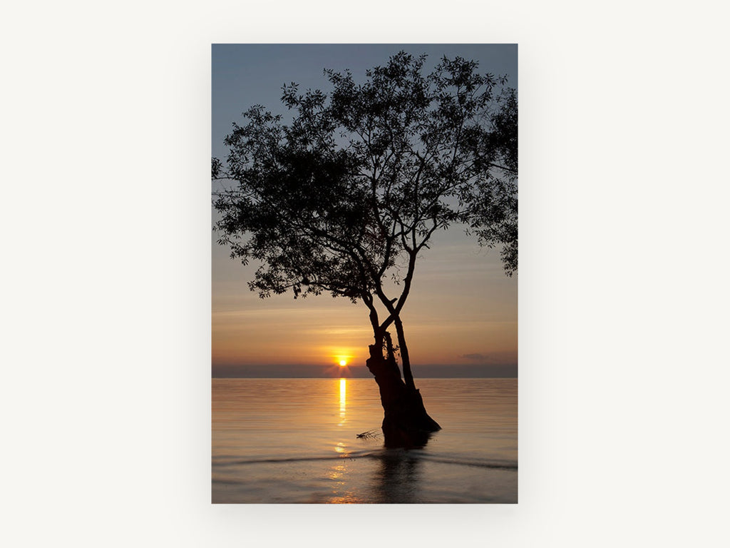 Tree at Dusk Tide, sunset tree silhouette water photograph, landscape canvas wall art print, front view