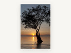 Tree at Dusk Tide, sunset tree silhouette water photograph, landscape canvas wall art print, front view