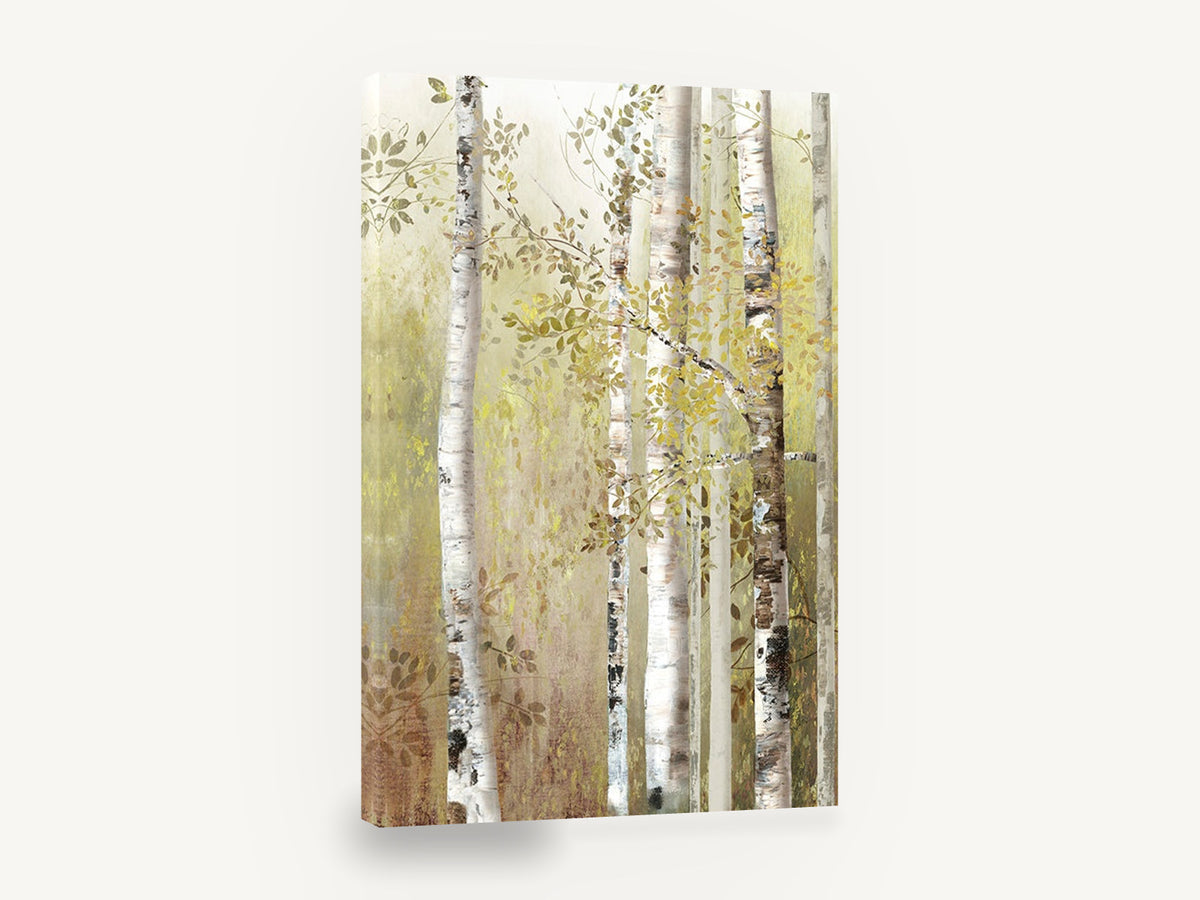 Olive Birch Grove Whisper, golden birch trees forest, floral canvas wall art print ready to hang