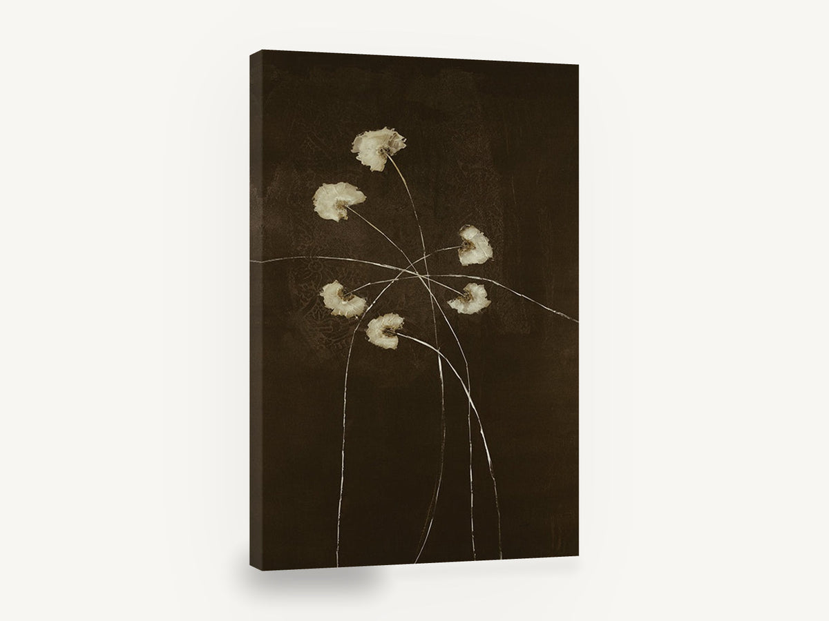 Pale Blooms at Night, cream blossoms on dark brown background, floral canvas wall art print ready to hang