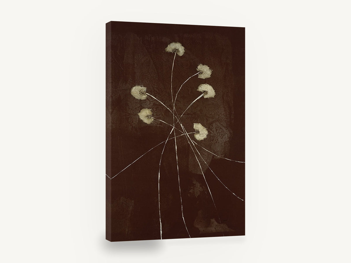 Cocoa Dusk Wildflowers, cream flowers on dark brown botanical, floral canvas wall art print ready to hang